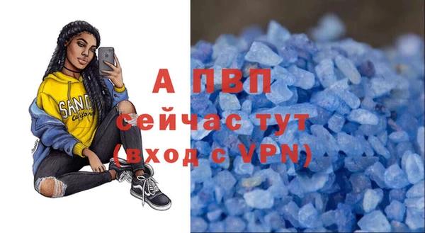 ГАЛЛЮЦИНОГЕННЫЕ ГРИБЫ Михайлов